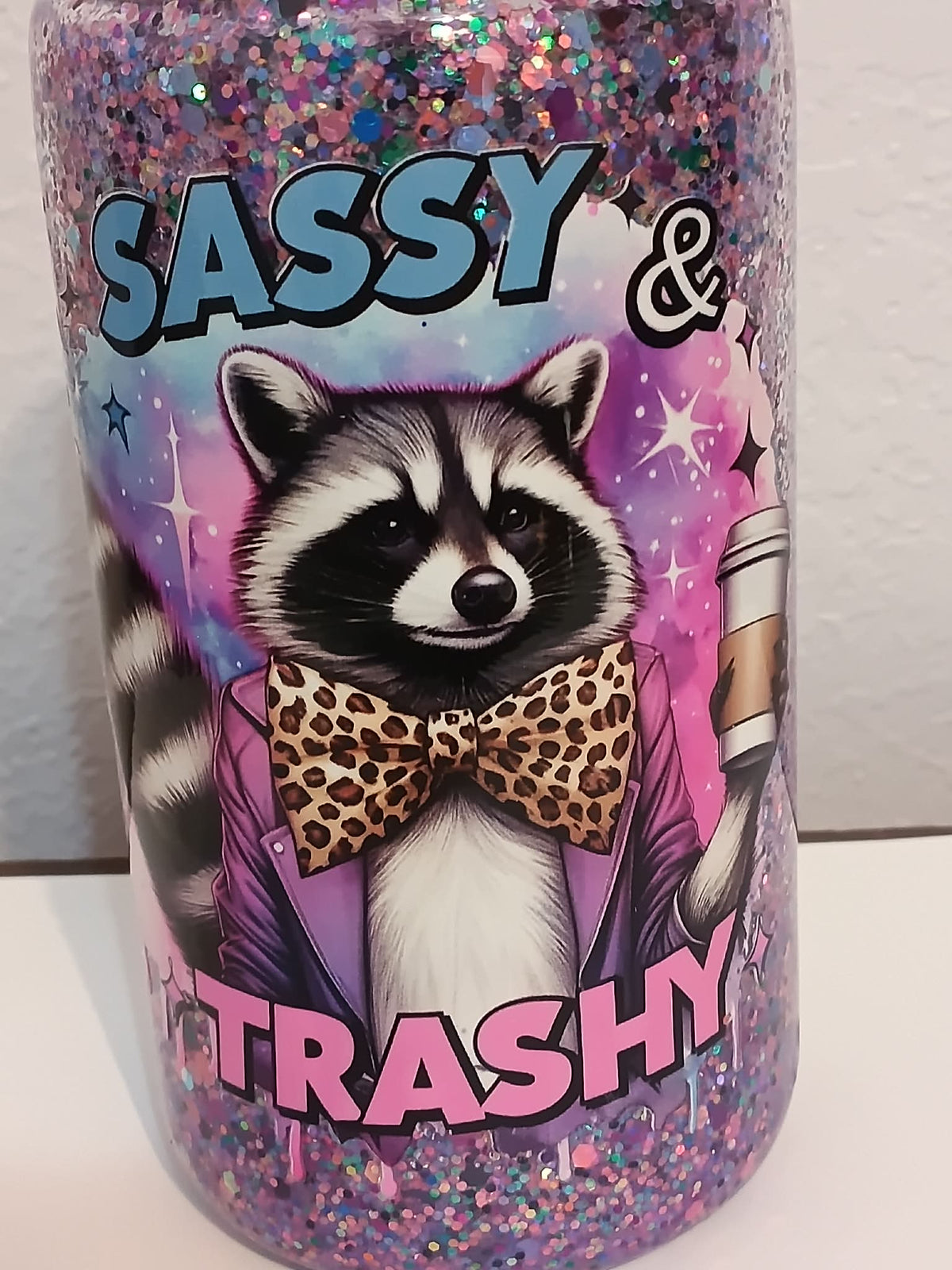 Sassy & Trashy Racoon